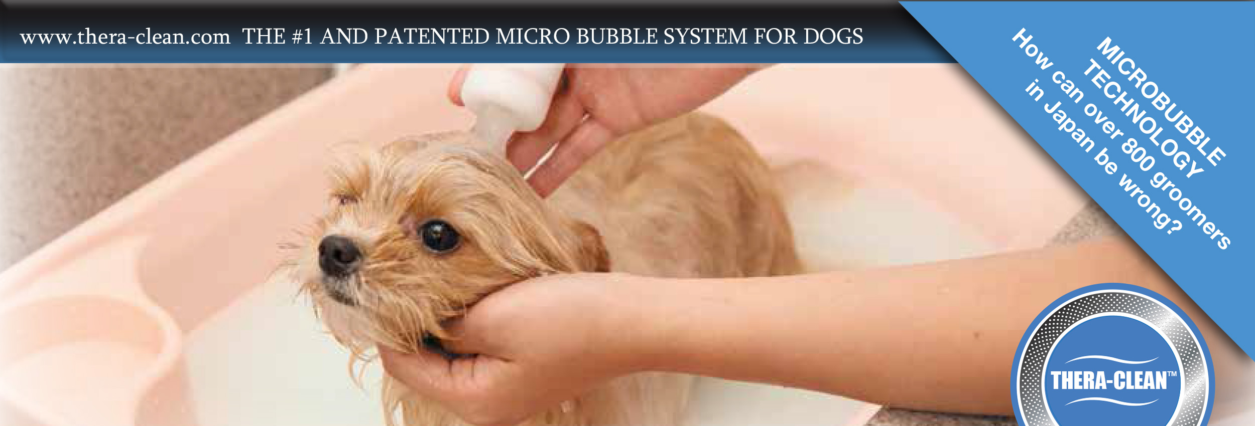 Head to Tail Pet Spa- Professional Dog and Cat Grooming.