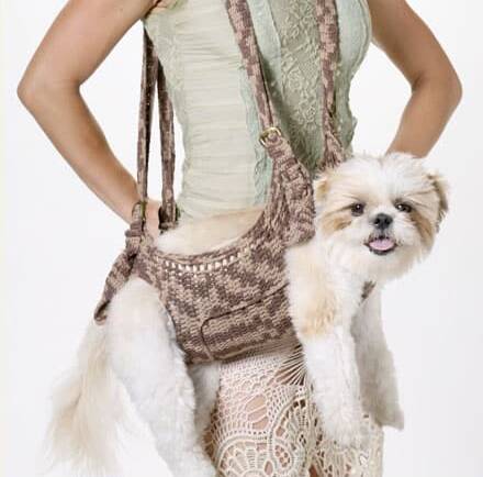 Dogs Shouldn’t Be Carried